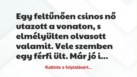 Vicc: Egy feltűnően csinos nő utazott a vonaton, s elmélyülten olvasott… Vicc: Egy feltűnően csinos nő utazott a vonaton, s elmélyülten olvasott…