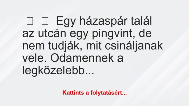 Vicc:
Egy házaspár talál az utcán egy pingvint, de nem tudják,… Vicc:
Egy házaspár talál az utcán egy pingvint, de nem tudják,…