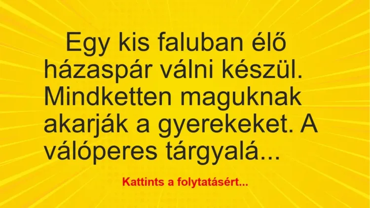 Vicc: Egy kis faluban élő házaspár válni készül Vicc: Egy kis faluban élő házaspár válni készül