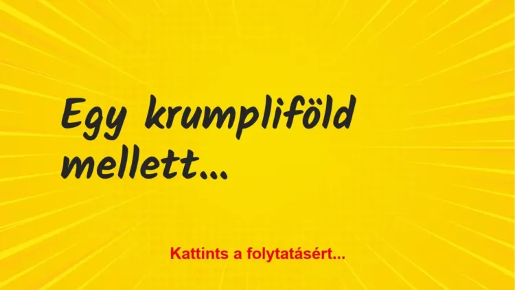 Vicc: Egy krumpliföld mellett autózik egy operatőr Vicc: Egy krumpliföld mellett autózik egy operatőr