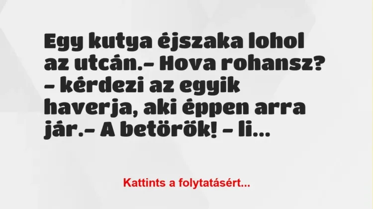 Vicc: Egy kutya éjszaka lohol az utcán.
– Hova rohansz? – kérdezi az… Vicc: Egy kutya éjszaka lohol az utcán.
– Hova rohansz? – kérdezi az…