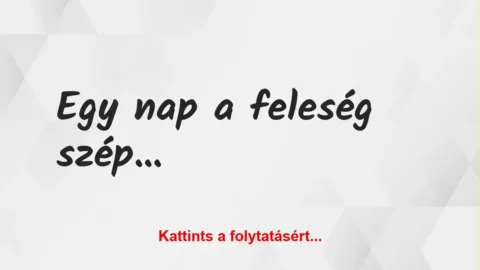 Vicc: Egy nap a feleség szépen kéri a férjét