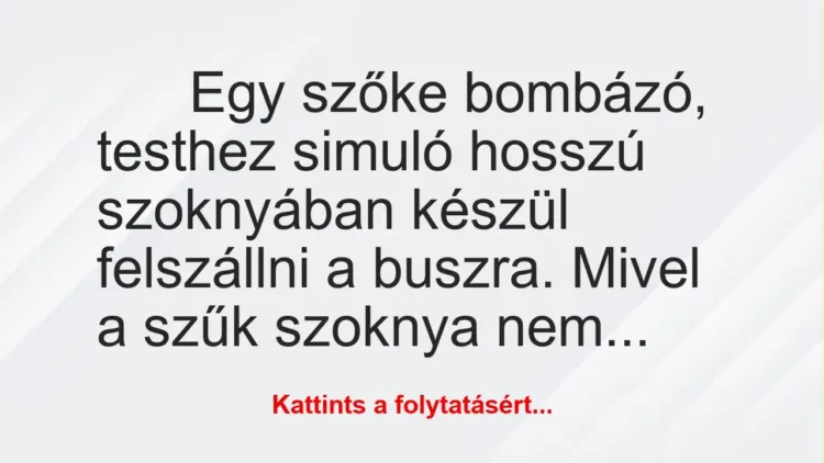 Vicc: Egy szőke bombázó, testhez simuló hosszú szoknyában készül felszállni… Vicc: Egy szőke bombázó, testhez simuló hosszú szoknyában készül felszállni…