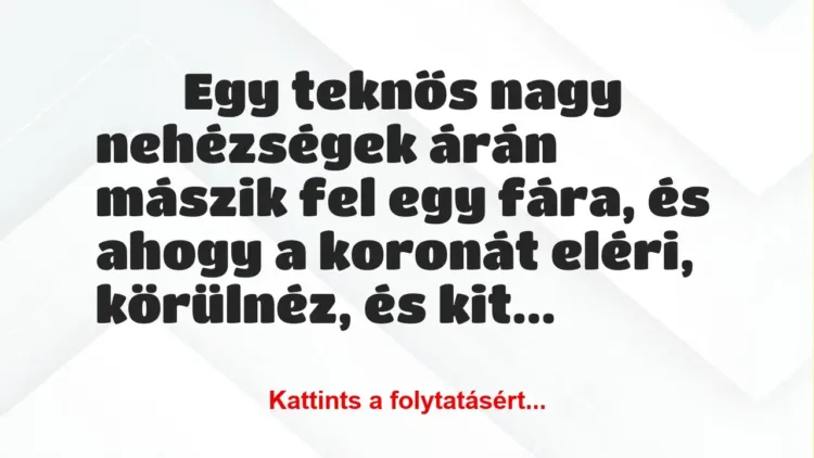 Vicc:
Egy teknős nagy nehézségek árán mászik fel egy fára, és… Vicc:
Egy teknős nagy nehézségek árán mászik fel egy fára, és…