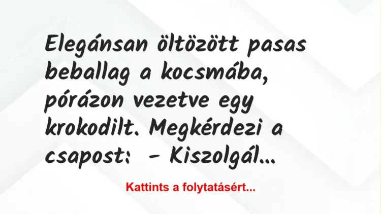 Vicc: Elegánsan öltözött pasas beballag a kocsmába, pórázon vezetve egy… Vicc: Elegánsan öltözött pasas beballag a kocsmába, pórázon vezetve egy…