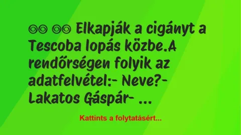 Vicc:
Elkapják a cigányt a Tescoba lopás közbe.A… Vicc:
Elkapják a cigányt a Tescoba lopás közbe.A…