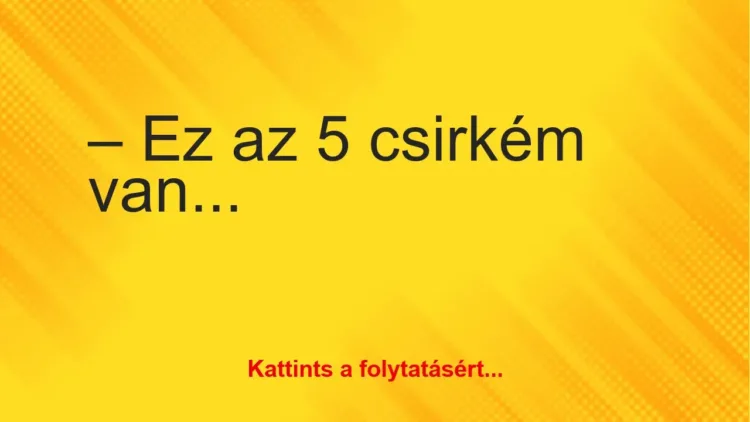 Vicc: Ez az 5 csirkém van még eladó Vicc: Ez az 5 csirkém van még eladó