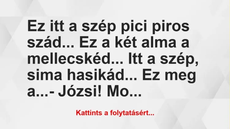 Vicc: Ez itt a szép pici piros szád… Ez a két alma a mellecskéd… Itt a… Vicc: Ez itt a szép pici piros szád… Ez a két alma a mellecskéd… Itt a…