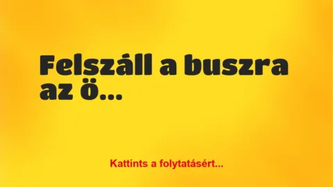 Vicc: Felszáll a buszra az öreg székely