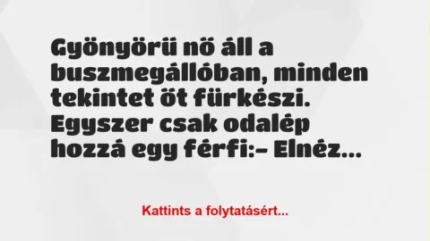 Vicc: Gyönyörű nő áll a buszmegállóban, minden tekintet őt fürkészi. Egyszer… Vicc: Gyönyörű nő áll a buszmegállóban, minden tekintet őt fürkészi. Egyszer…