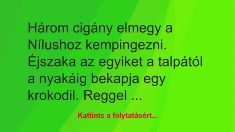 Vicc: Három cigány elmegy a Nílushoz kempingezni. Éjszaka az egyiket a… Vicc: Három cigány elmegy a Nílushoz kempingezni. Éjszaka az egyiket a…
