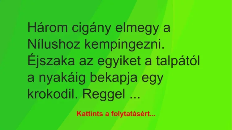 Vicc: Három cigány elmegy a Nílushoz kempingezni. Éjszaka az egyiket a… Vicc: Három cigány elmegy a Nílushoz kempingezni. Éjszaka az egyiket a…