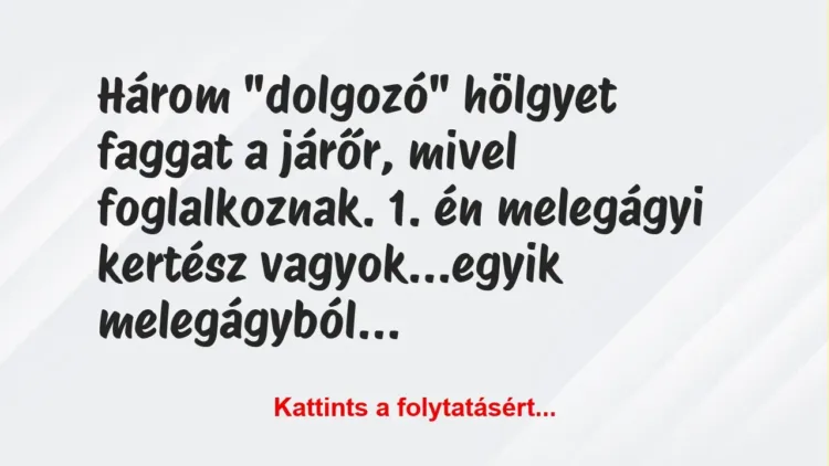 Vicc: Három “dolgozó” hölgyet faggat a járőr, mivel foglalkoznak. 1. én… Vicc: Három “dolgozó” hölgyet faggat a járőr, mivel foglalkoznak. 1. én…