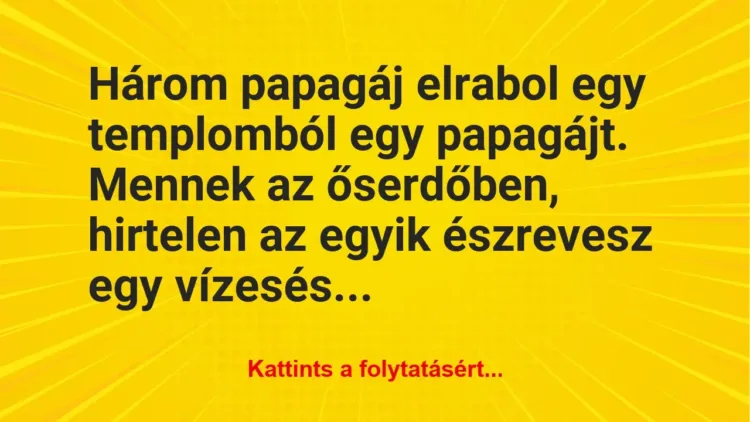 Vicc: Három papagáj elrabol egy templomból egy papagájt. Mennek az… Vicc: Három papagáj elrabol egy templomból egy papagájt. Mennek az…