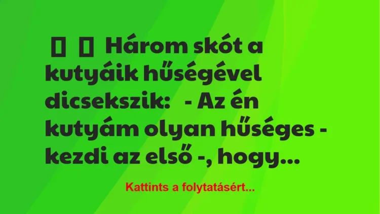Vicc:
Három skót a kutyáik hűségével dicsekszik:
– Az én… Vicc:
Három skót a kutyáik hűségével dicsekszik:
– Az én…