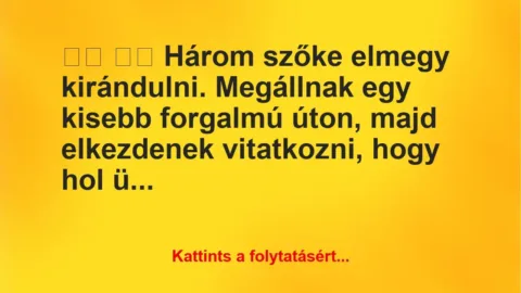 Vicc: 
		  
		  Három szőke elmegy kirándulni. Megállnak egy…