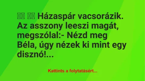 Vicc:
Házaspár vacsorázik. Az asszony leeszi magát, meg… Vicc:
Házaspár vacsorázik. Az asszony leeszi magát, meg…