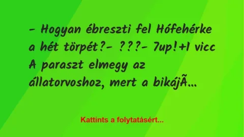 Vicc: – Hogyan ébreszti fel Hófehérke a hét törpét?

– ???

– 7up!