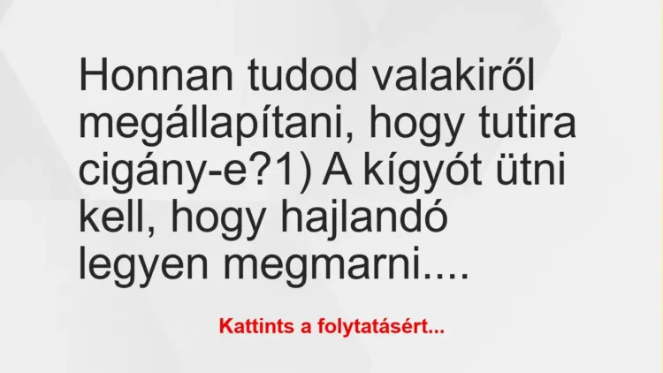 Vicc: Honnan tudod valakiről megállapítani, hogy tutira cigány-e?
1) A… Vicc: Honnan tudod valakiről megállapítani, hogy tutira cigány-e?
1) A…