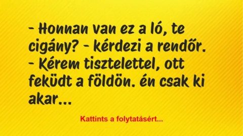 Vicc: – Honnan van ez a ló, te cigány? – kérdezi a rendőr. 

– Kérem…