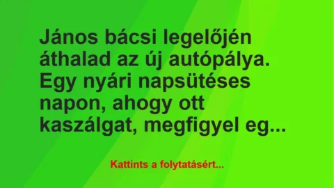 Vicc: János bácsi legelőjén áthalad az új autópálya. Egy nyári napsütéses…