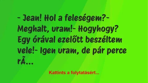 Vicc: – Jean! Hol a feleségem?

– Meghalt, uram!

– Hogyhogy? Egy…