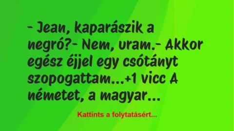 Vicc: – Jean, kaparászik a negró?

– Nem, uram.

– Akkor egész éjjel…