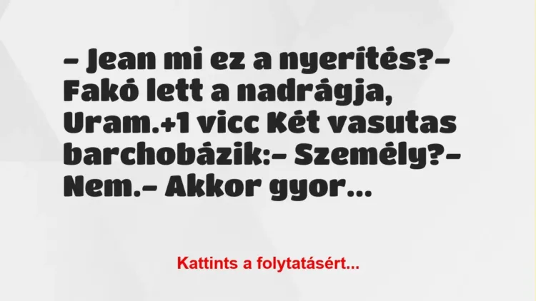 Vicc: – Jean mi ez a nyerítés?
– Fakó lett a nadrágja, Uram. Vicc: – Jean mi ez a nyerítés?
– Fakó lett a nadrágja, Uram.
