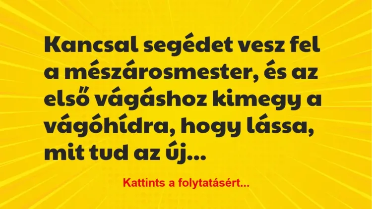 Vicc: Kancsal segédet vesz fel a mészárosmester, és az első vágáshoz kimegy… Vicc: Kancsal segédet vesz fel a mészárosmester, és az első vágáshoz kimegy…