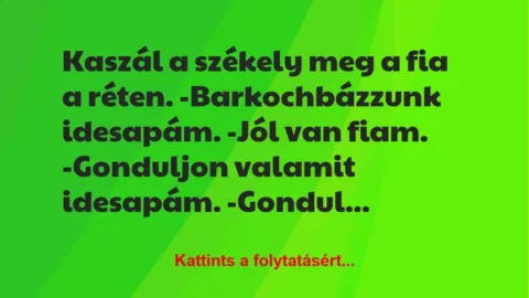 Vicc: Kaszál a székely meg a fia a réten.
-Barkochbázzunk idesapám…. Vicc: Kaszál a székely meg a fia a réten.
-Barkochbázzunk idesapám….