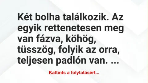 Vicc: Két bolha találkozik. Az egyik rettenetesen meg van fázva, köhög,… Vicc: Két bolha találkozik. Az egyik rettenetesen meg van fázva, köhög,…