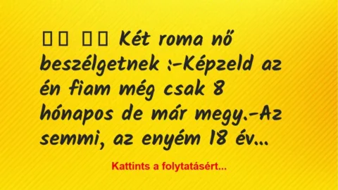 Vicc: 
		  
		  Két roma nő beszélgetnek :-Képzeld az én fiam…