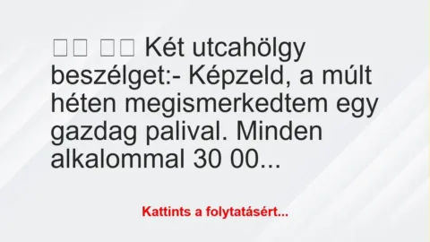 Vicc: 
		  
		  Két utcahölgy beszélget:- Képzeld, a múlt…
