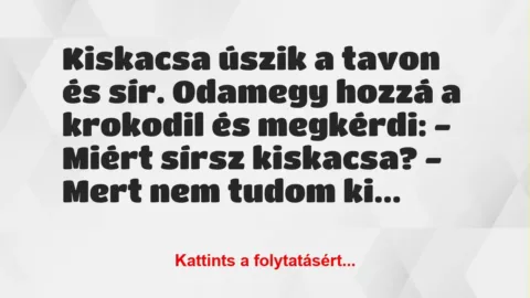 Vicc: Kiskacsa úszik a tavon és sír. Odamegy hozzá a krokodil és megkérdi:…