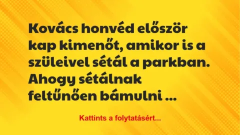 Vicc: Kovács honvéd először kap kimenőt, amikor is a szüleivel sétál a…