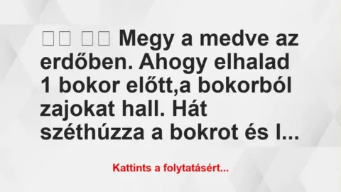 Vicc:
Megy a medve az erdőben. Ahogy elhalad 1 bokor… Vicc:
Megy a medve az erdőben. Ahogy elhalad 1 bokor…