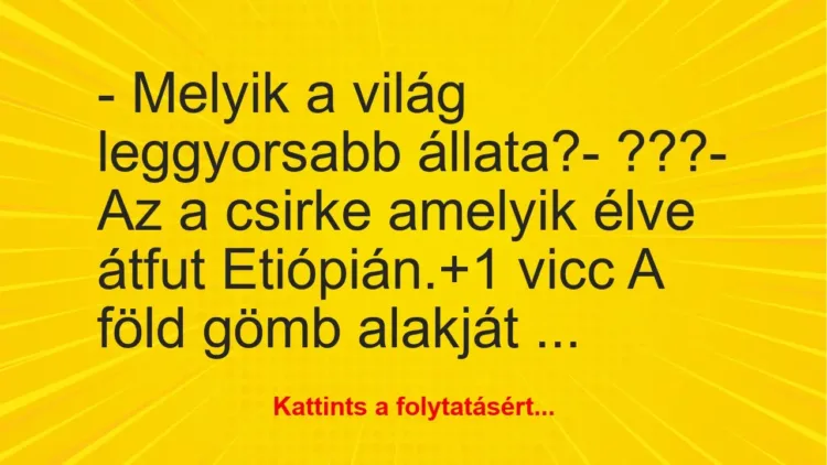 Vicc: – Melyik a világ leggyorsabb állata?
– ???
– Az a csirke… Vicc: – Melyik a világ leggyorsabb állata?
– ???
– Az a csirke…