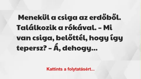 Vicc: Menekül a csiga az erdőből Vicc: Menekül a csiga az erdőből