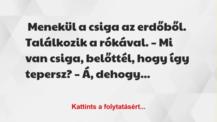Vicc: Menekül a csiga az erdőből Vicc: Menekül a csiga az erdőből