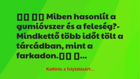 Vicc: 
		  
		  Miben hasonlít a gumióvszer és a feleség?-…