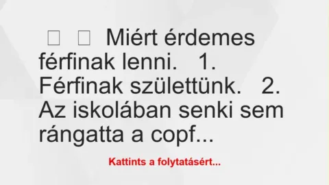 Vicc: 
	    	    Miért érdemes férfinak lenni.


1. Férfinak…