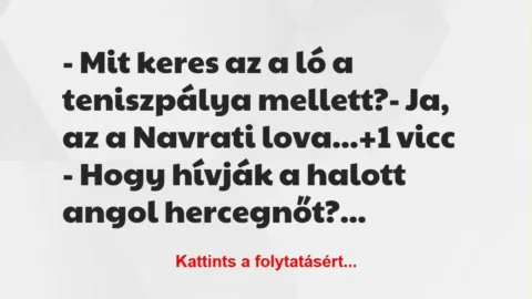 Vicc: – Mit keres az a ló a teniszpálya mellett?

– Ja, az a Navrati…