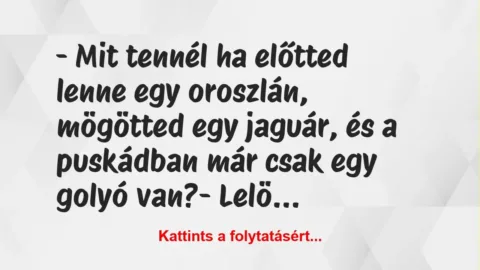 Vicc: – Mit tennél ha előtted lenne egy oroszlán, mögötted egy jaguár, és a… Vicc: – Mit tennél ha előtted lenne egy oroszlán, mögötted egy jaguár, és a…