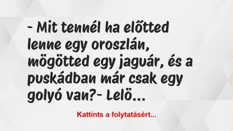 Vicc: – Mit tennél ha előtted lenne egy oroszlán, mögötted egy jaguár, és a… Vicc: – Mit tennél ha előtted lenne egy oroszlán, mögötted egy jaguár, és a…