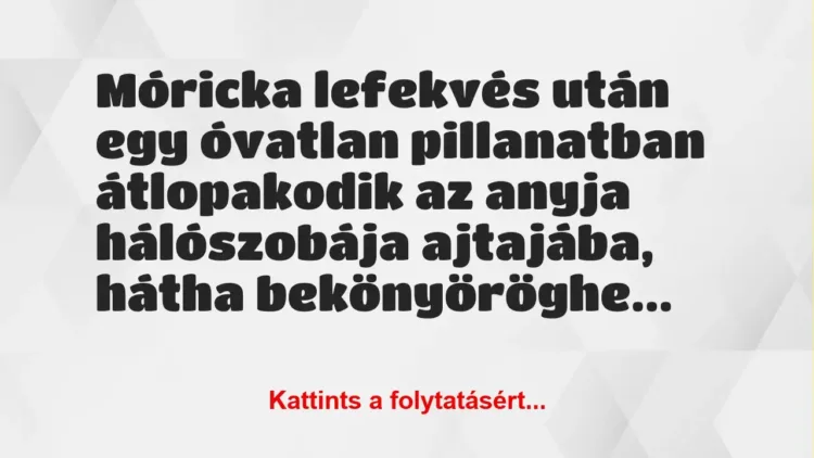 Vicc: Móricka lefekvés után egy óvatlan pillanatban átlopakodik az anyja… Vicc: Móricka lefekvés után egy óvatlan pillanatban átlopakodik az anyja…