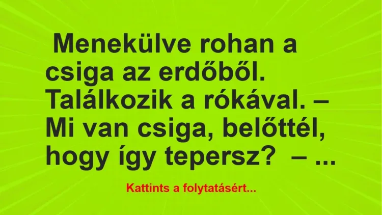 Vicc: NAPI VICC: Menekülve rohan a csiga az erdőből Vicc: NAPI VICC: Menekülve rohan a csiga az erdőből