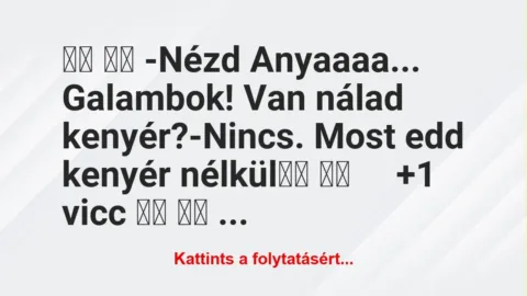 Vicc: 
		  
		  -Nézd Anyaaaa… Galambok! Van nálad…