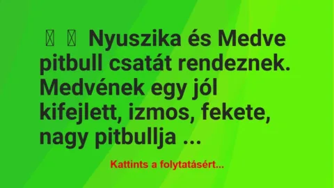 Vicc: 
	    	    Nyuszika és Medve pitbull csatát rendeznek.


Medvének…