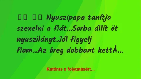 Vicc: 
		  
		  Nyuszipapa tanítja szexelni a fiát…Sorba…