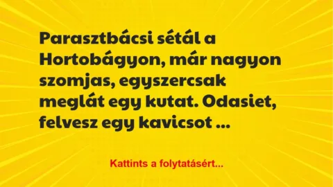 Vicc: Parasztbácsi sétál a Hortobágyon, már nagyon szomjas, egyszercsak…